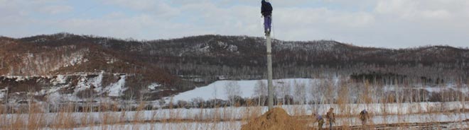 598ab725816a9.jpg 2.jpg